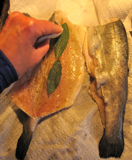 lampmanpreparingtrout .jpg